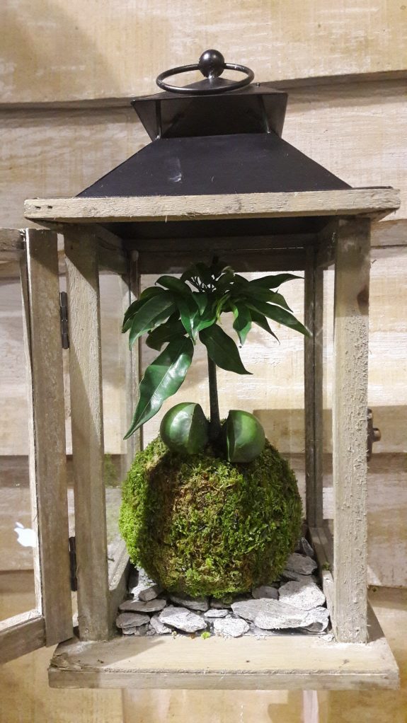 Terrarium-fleuriste-paris