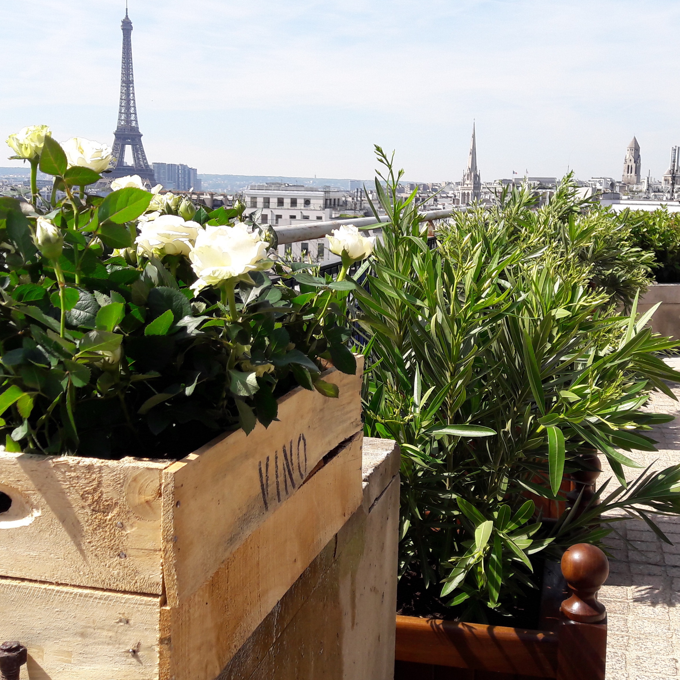 Christian Morel Fleuriste Paris - Jardin