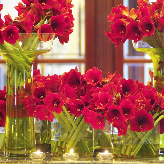 Christian Morel Fleuriste Paris Hotel Amaryllis