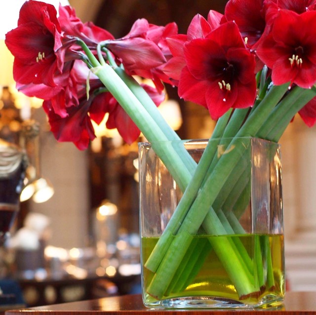 Christian Morel Fleuriste Paris Hotel Amaryllis