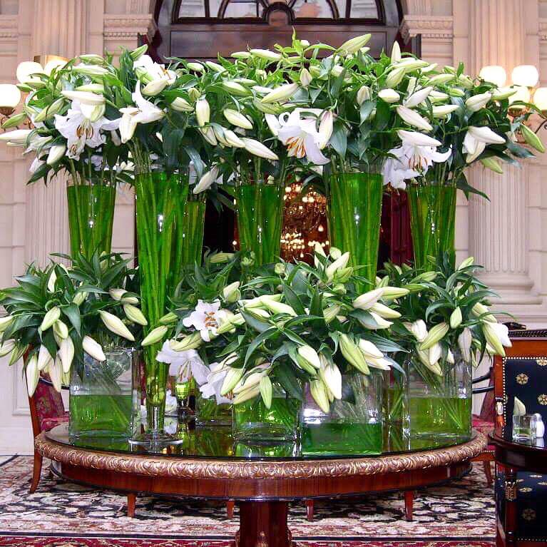 Christian Morel Fleuriste Hotel Lys Christian Morel Fleuriste Paris Hotel Lys