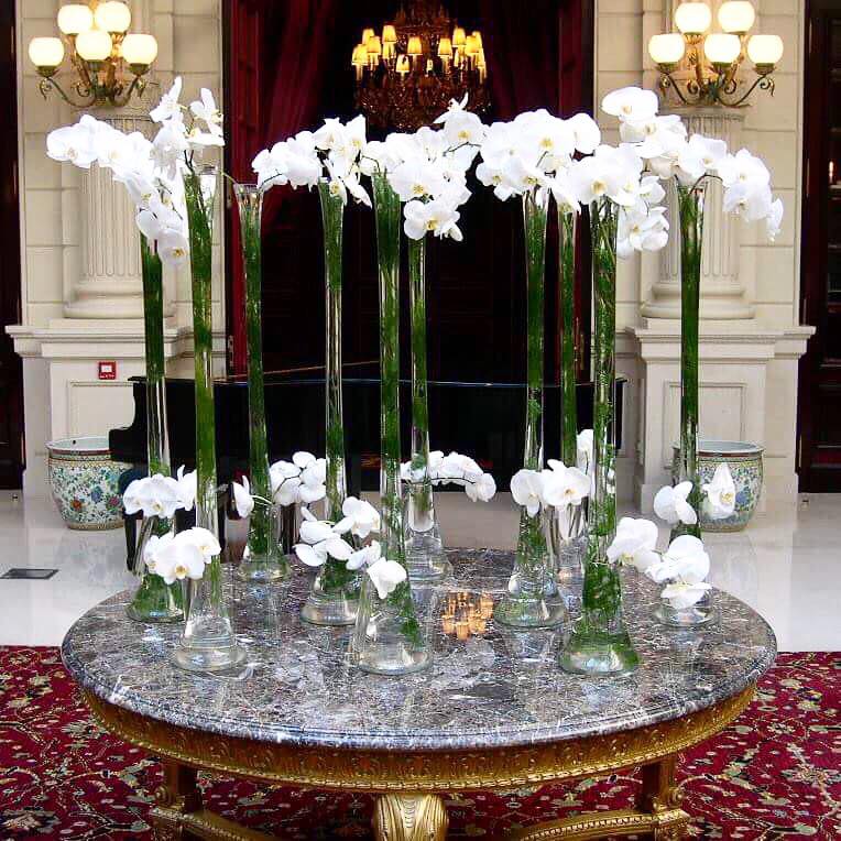 Christian Morel Fleuriste Hotel Orchidees Christian Morel Fleuriste Paris Hotel Orchidées