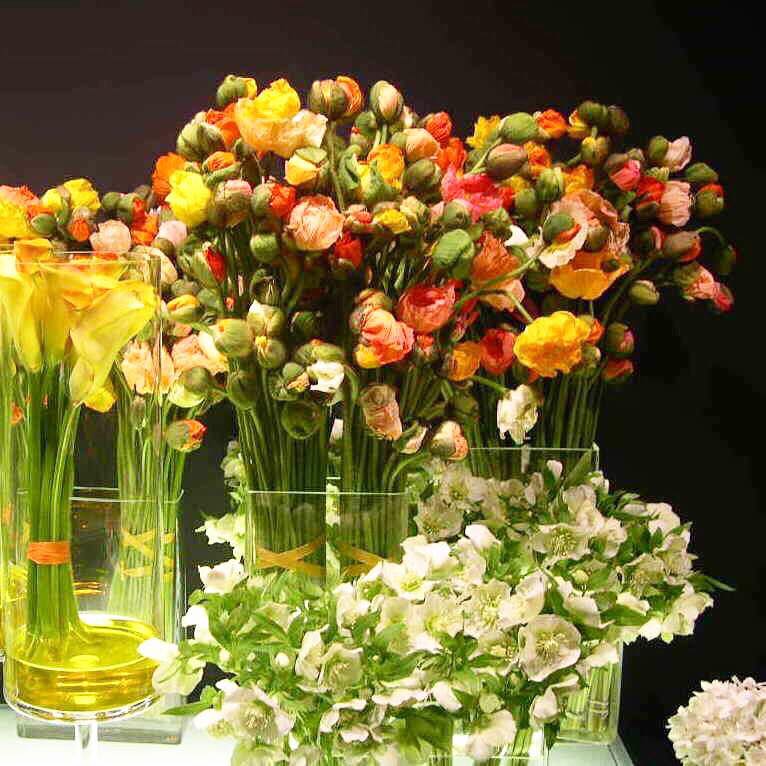 Christian Morel Fleuriste Hotel Pavot Christian Morel Fleuriste Paris Hotel Pavot