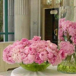 Christian Morel Fleuriste Paris - Abonnement floral Christian Morel Fleuriste Paris - Abonnement floral