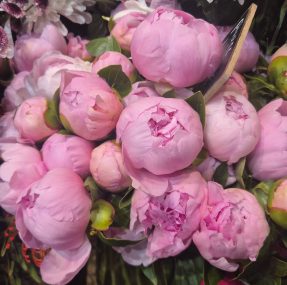 Bouquet de pivoines luxe fleuriste créatif Paris Christian Morel
