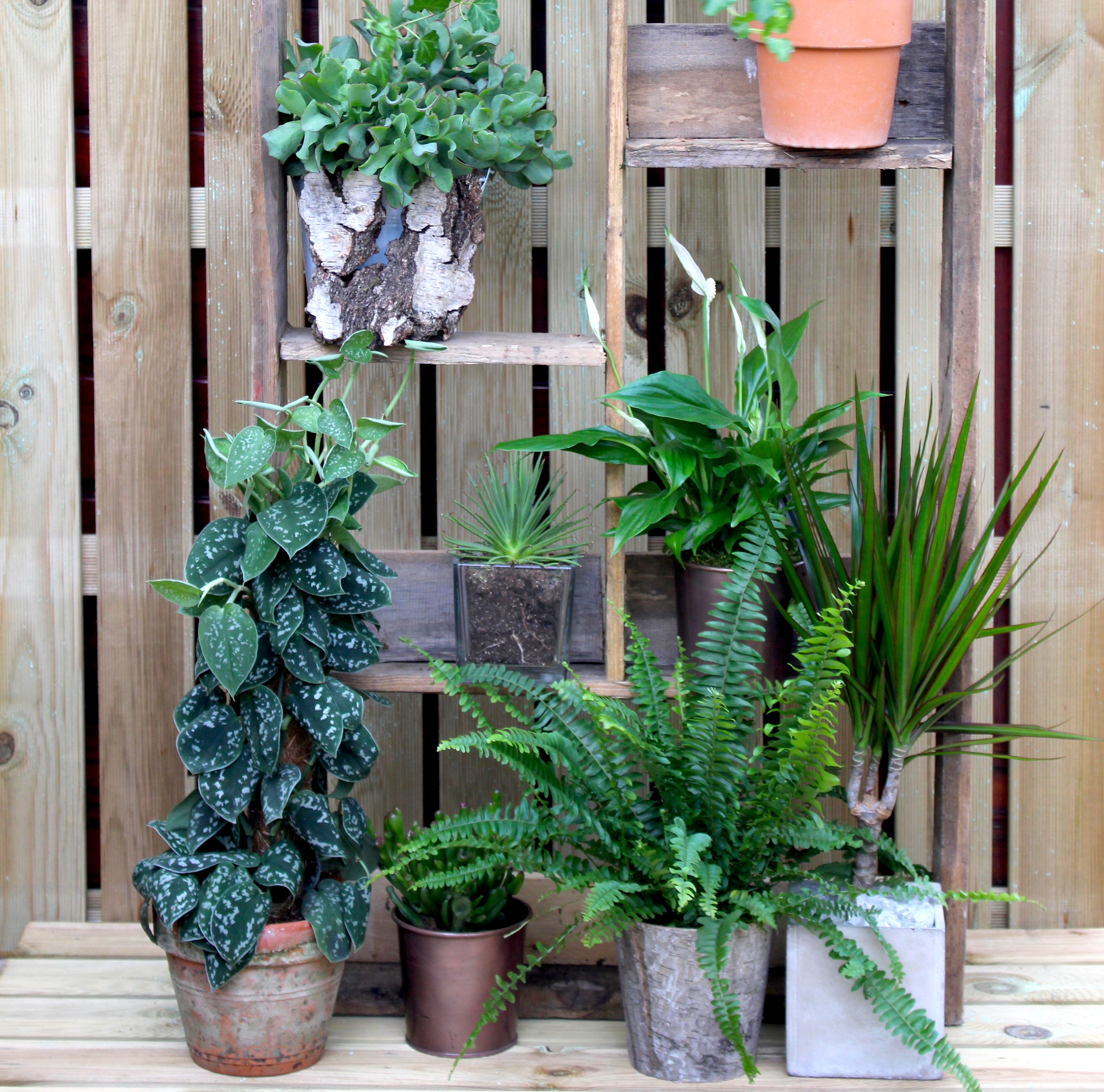 Christian Morel Fleuriste Paris - Jardin Christian Morel Fleuriste Paris - Jardin