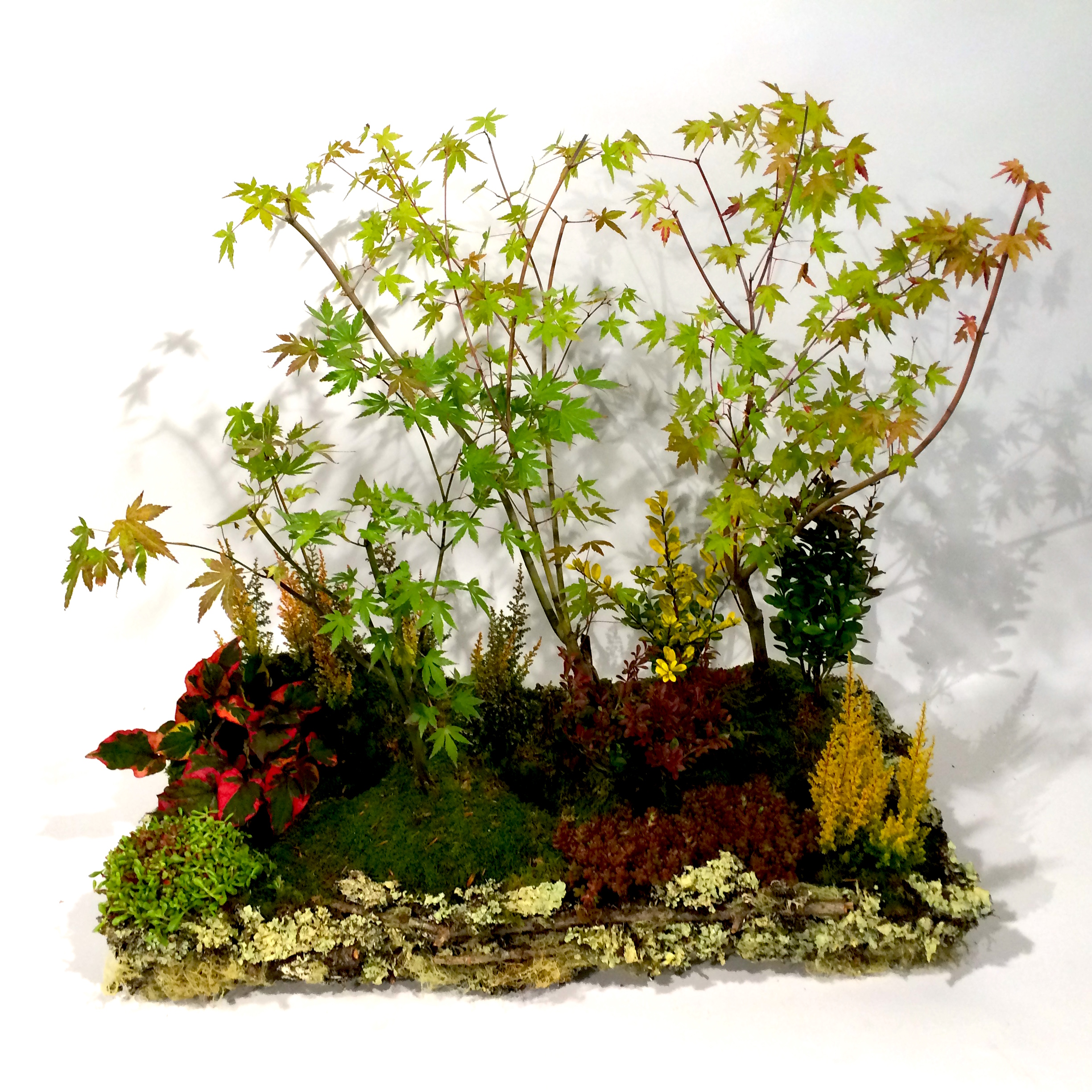 Christian Morel Fleuriste Paris -
Subscriptions Christian Morel Fleuriste Paris -
Subscriptions