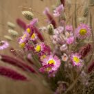 Fleurs sechées - Christian Morel Fleuriste Paris