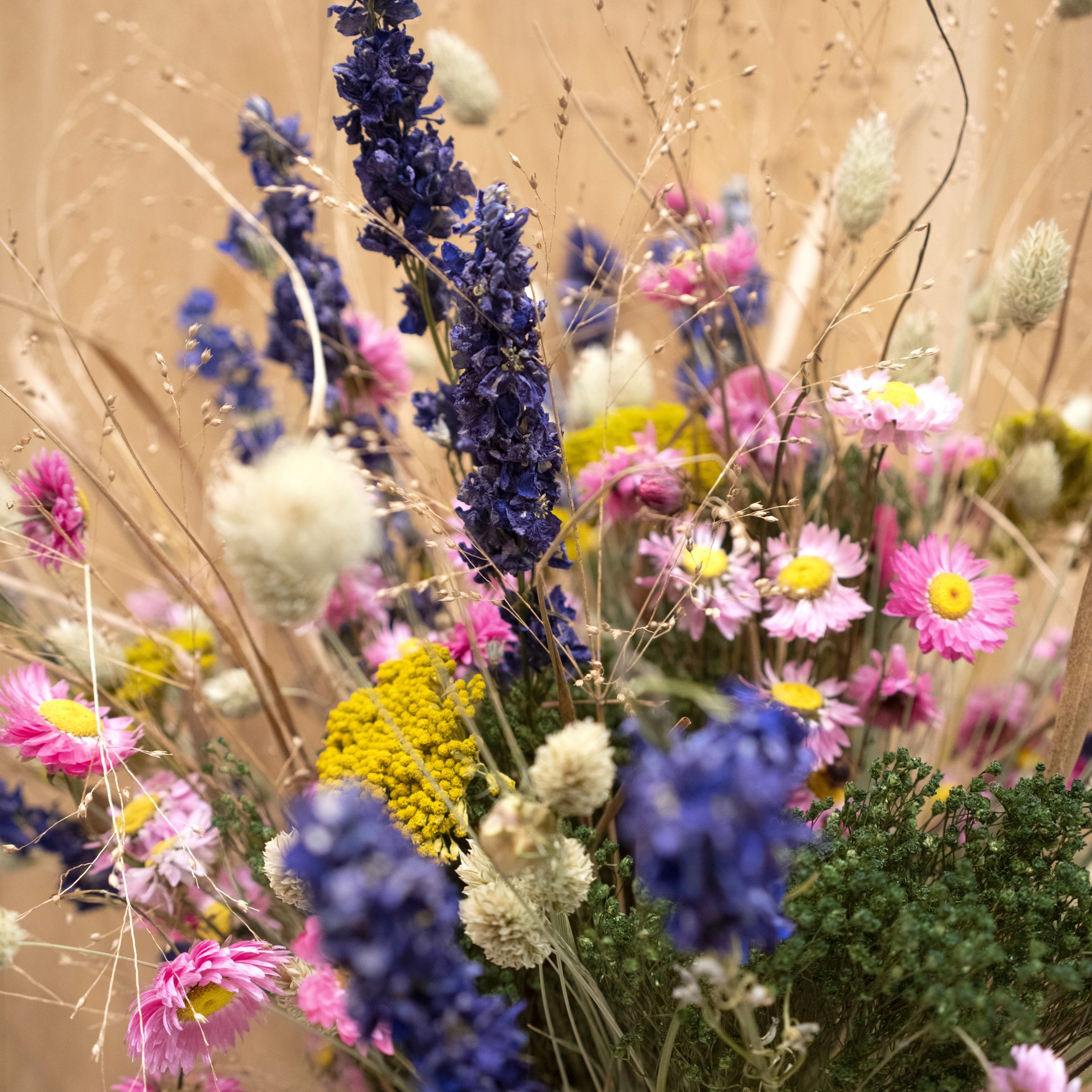 Christian Morel Fleuriste Paris - Fleurs Séchées à Paris – Christian Morel