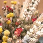 Fleurs sechées - Christian Morel Fleuriste Paris