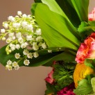 Bouquet « Un soleil de bonheur » par Christian Morel, fleuriste à Paris – zoom