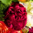 Bouquet « Un soleil de bonheur » par Christian Morel, fleuriste à Paris – zoom