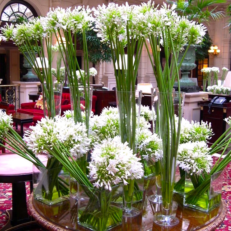 Christian Morel Fleuriste Hotel Composition Christian Morel Fleuriste Paris Hotel Composition