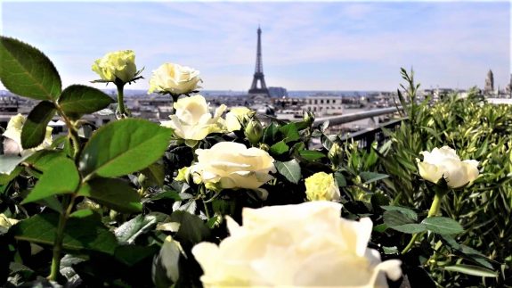 fleuriste paris fleuriste parisien rorftop paris champs élysées fleurs et plantes décorations terrasse tour eiffel 
