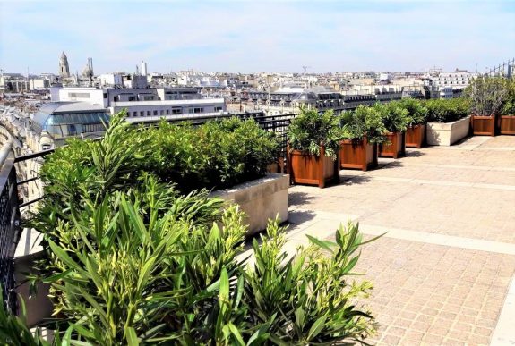 fleuriste paris fleuriste parisien rorftop paris champs élysées fleurs et plantes décorations terrasse tour eiffel 