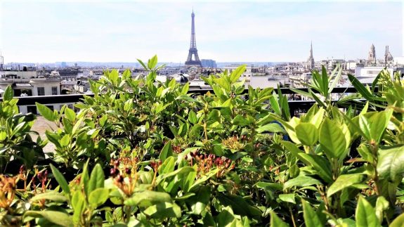 fleuriste paris fleuriste parisien rorftop paris champs élysées fleurs et plantes décorations terrasse tour eiffel 